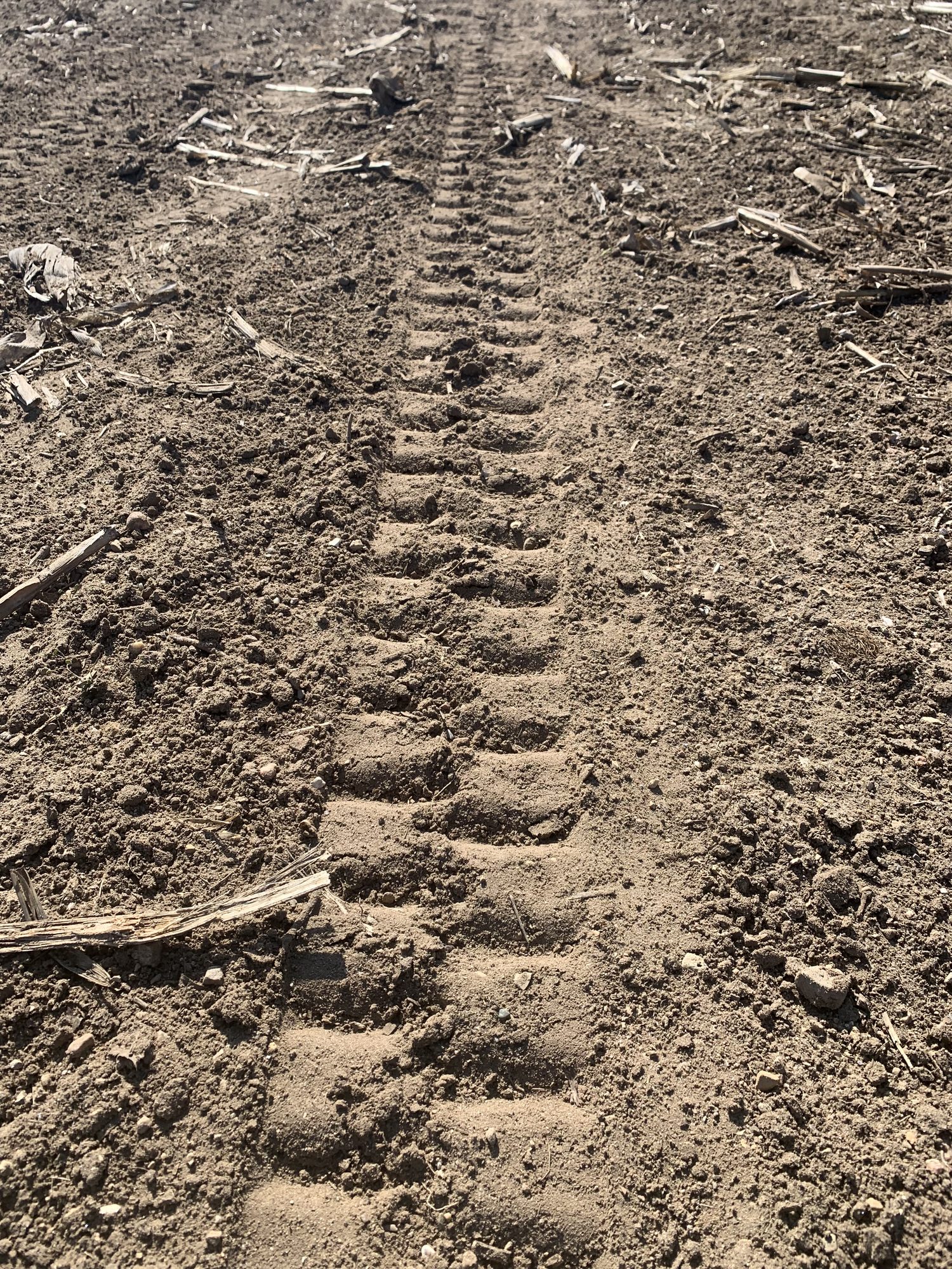 John Deere 1770NT — 30" — 24R — project photo 24